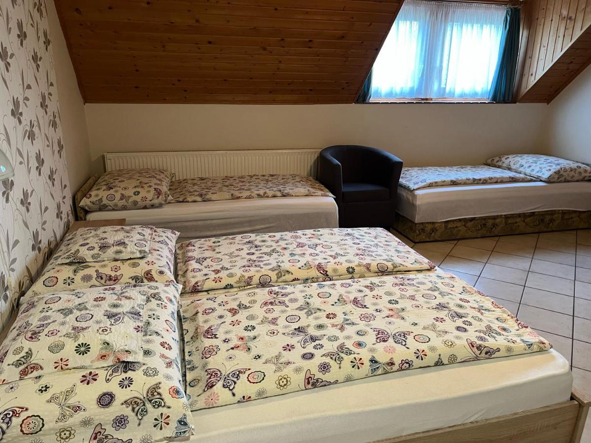 Ibolya Vendeghaz Apartment Kehidakustany Ngoại thất bức ảnh