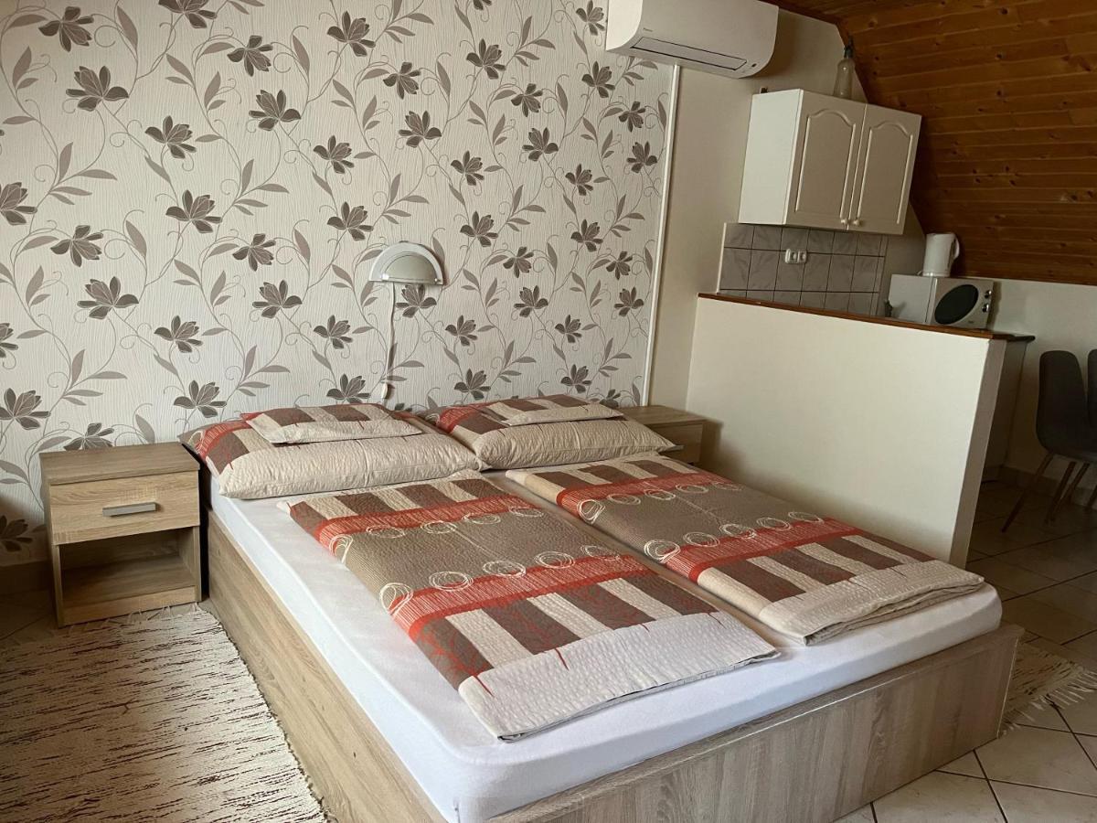 Ibolya Vendeghaz Apartment Kehidakustany Ngoại thất bức ảnh