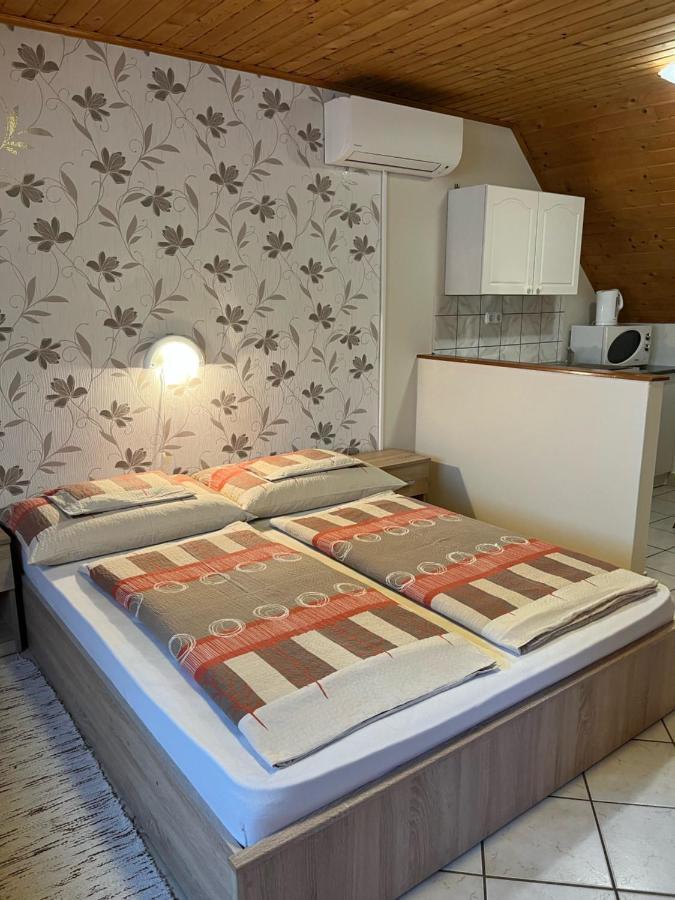 Ibolya Vendeghaz Apartment Kehidakustany Ngoại thất bức ảnh