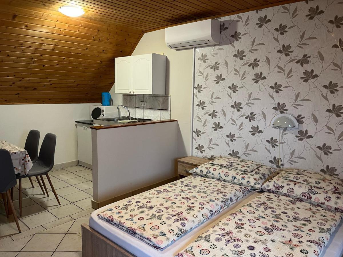 Ibolya Vendeghaz Apartment Kehidakustany Ngoại thất bức ảnh