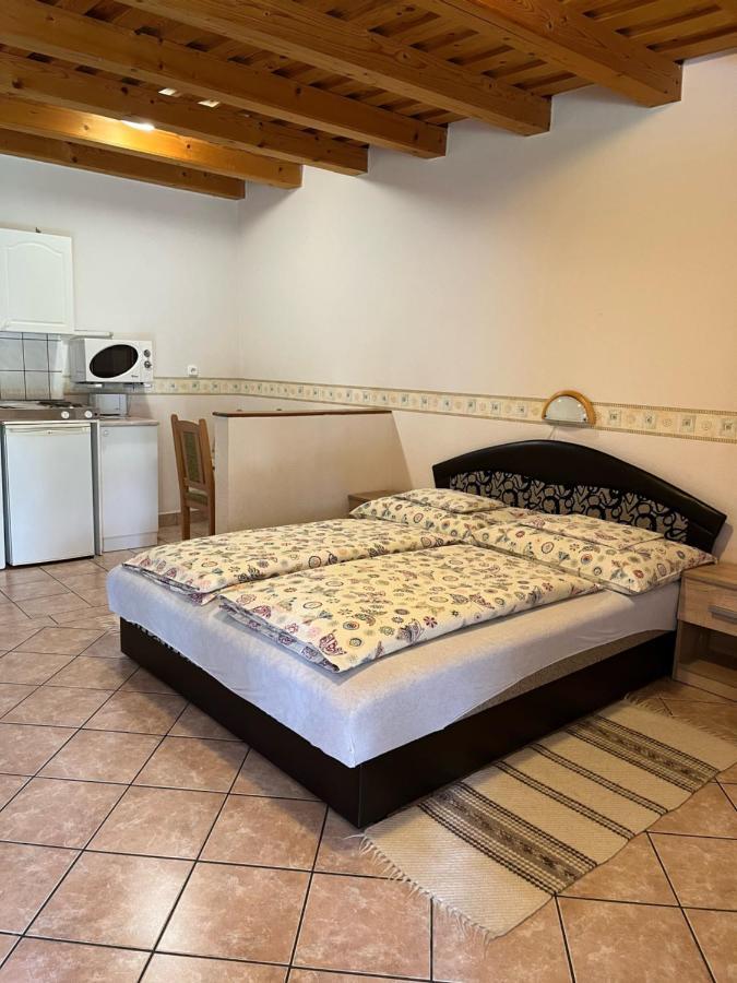 Ibolya Vendeghaz Apartment Kehidakustany Ngoại thất bức ảnh