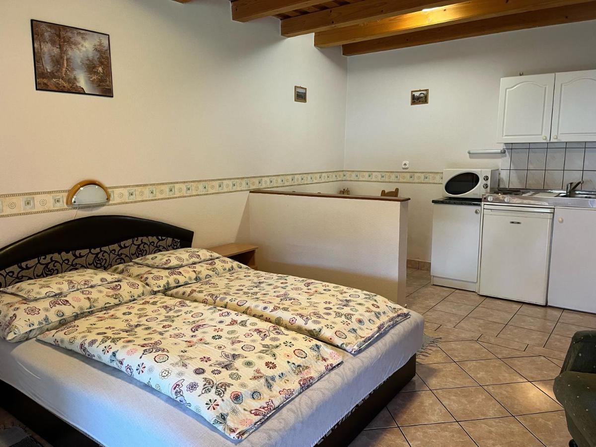 Ibolya Vendeghaz Apartment Kehidakustany Ngoại thất bức ảnh